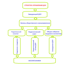 Структура управления ДОУ